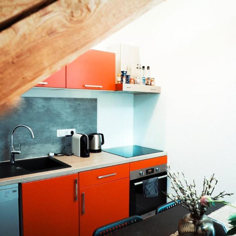Le Trèfle proche de Genève et Annecy - Appartement 1 Chambre - 12