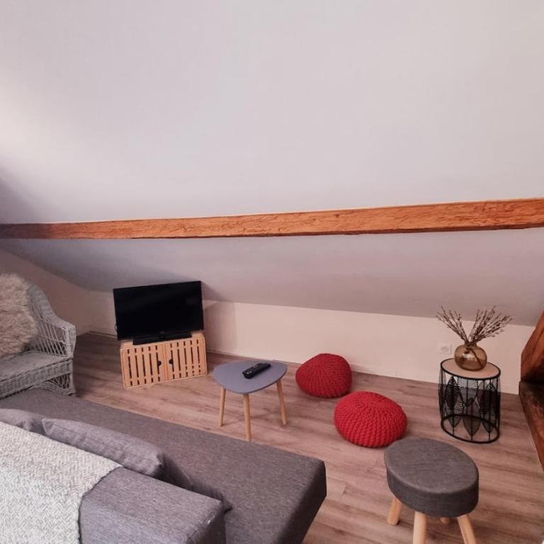 Le Trèfle proche de Genève et Annecy - Appartement 1 Chambre - 19