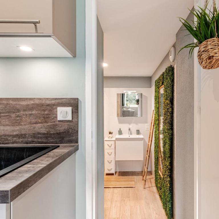 Studio rénové au calme proche de Genève - Appartement 1 Chambre - 13