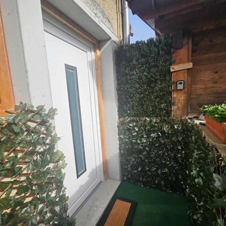 Studio rénové au calme proche de Genève - Appartement 1 Chambre - 15