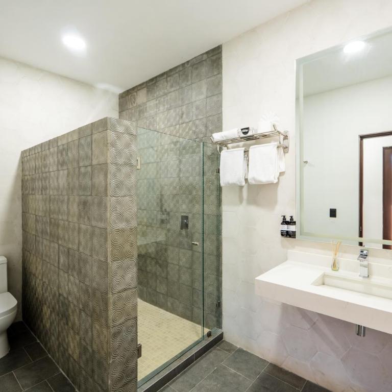 Hotel Miranda Querétaro - Superior Suite - 7