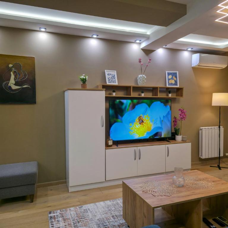 Aura Apartment Vračar Central - Belgrade - One-Bedroom Apartment - 4