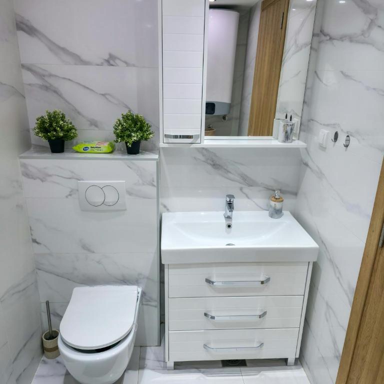 Aura Apartment Vračar Central - Belgrade - One-Bedroom Apartment - 22
