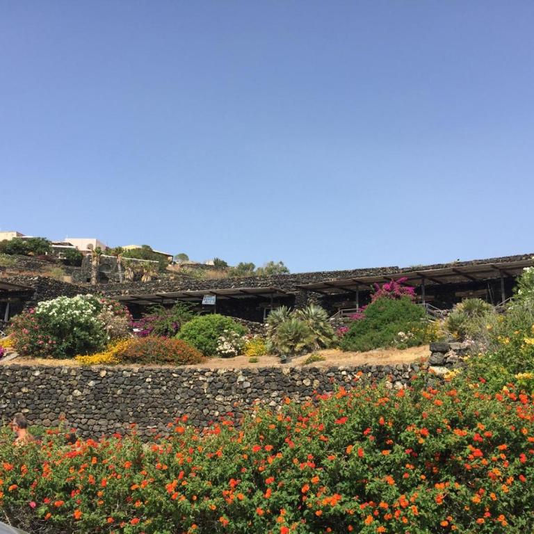 Dammusi Qawsara - One-Bedroom House - 14