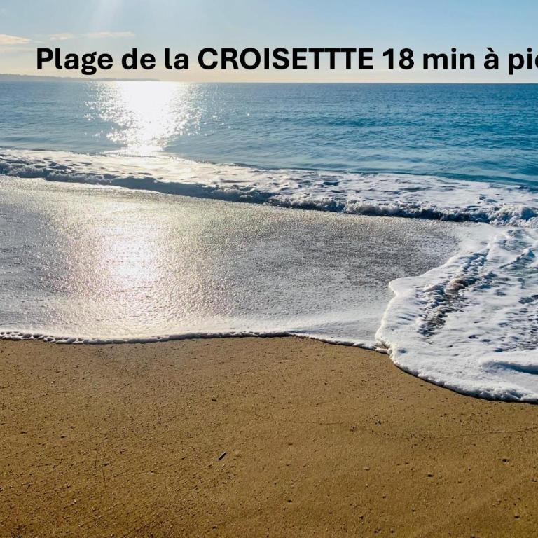 Elégant studio TERRASSE- proche PLAGES et CROISETTE A0B206 - Studio avec Terrasse - 3