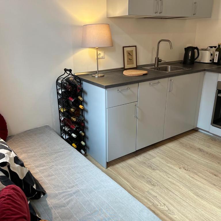 Faenza Studio - One-Bedroom Apartment - 2