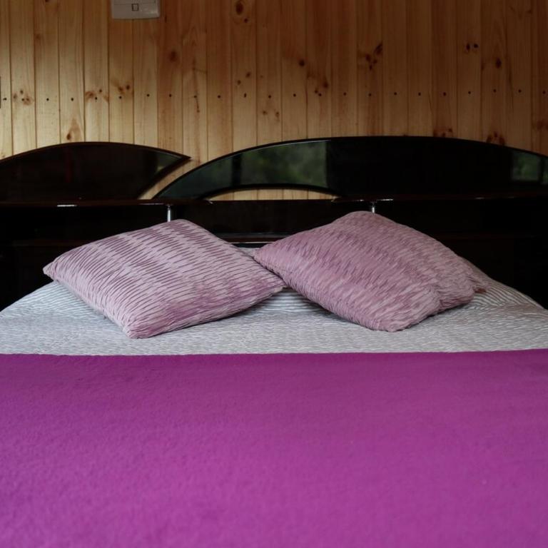 Cabaña con tinaja y camas de cuarzo en Licantén - Apartamento de 1 dormitorio - 9
