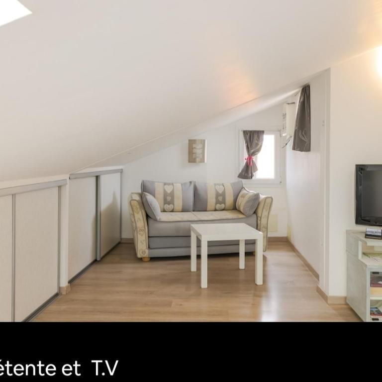 Appartements Au Cros De Cagnes - Appartement Mansardé sans Balcon - 13