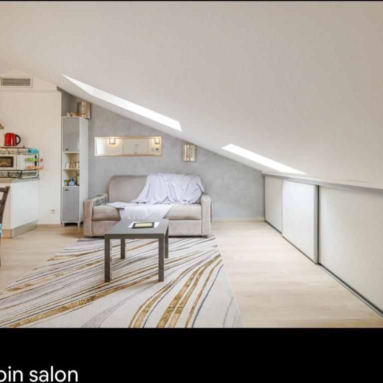 Appartements Au Cros De Cagnes - Appartement Mansardé sans Balcon - 12