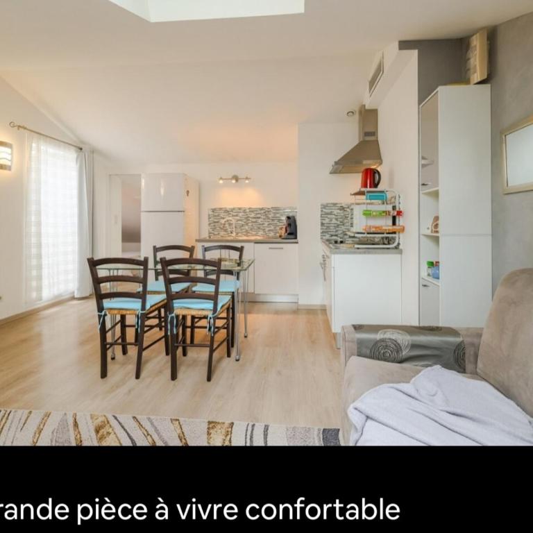Appartements Au Cros De Cagnes - Appartement Mansardé sans Balcon - 3