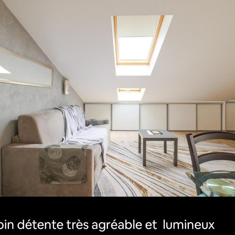 Appartements Au Cros De Cagnes - Appartement Mansardé sans Balcon - 10