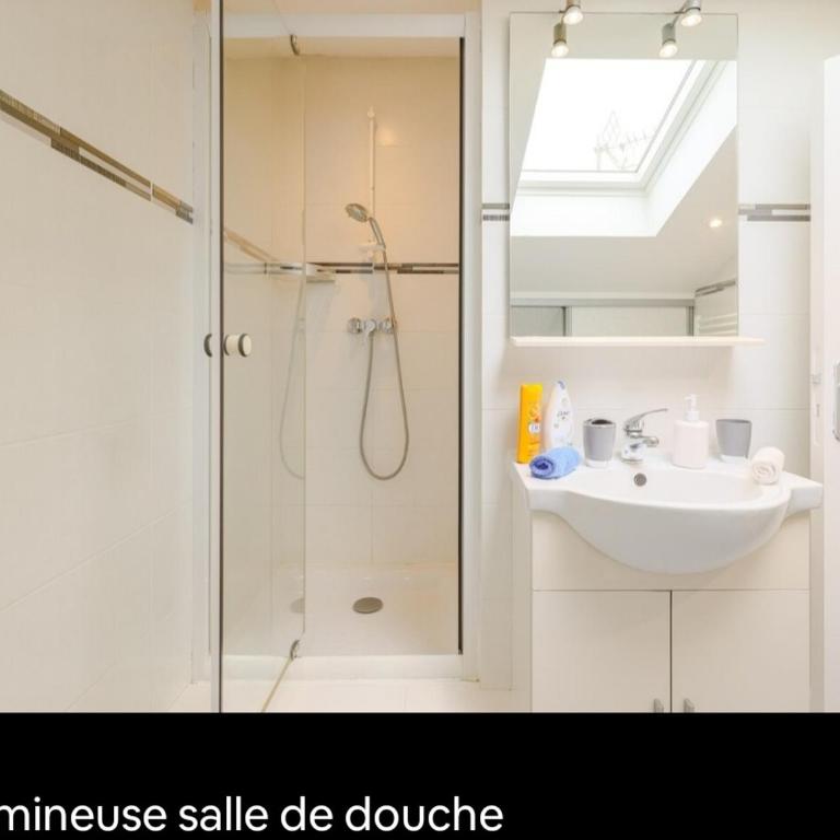 Appartements Au Cros De Cagnes - Appartement Mansardé sans Balcon - 9