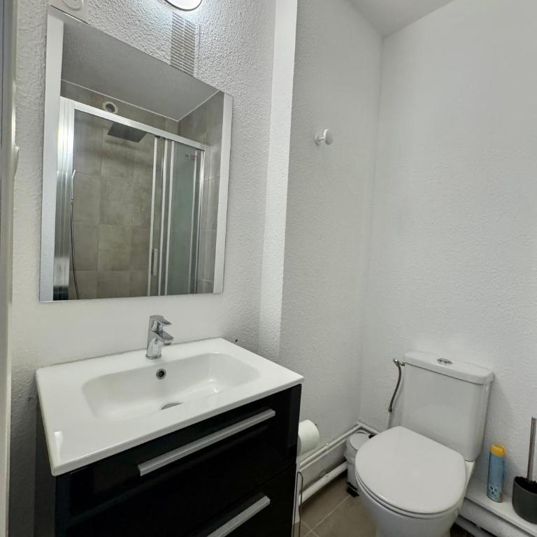 Le petit port - Port du Cap d'Agde - Parking - Clim - 2pers - Histoire de clés - Appartement 1 Chambre - 13