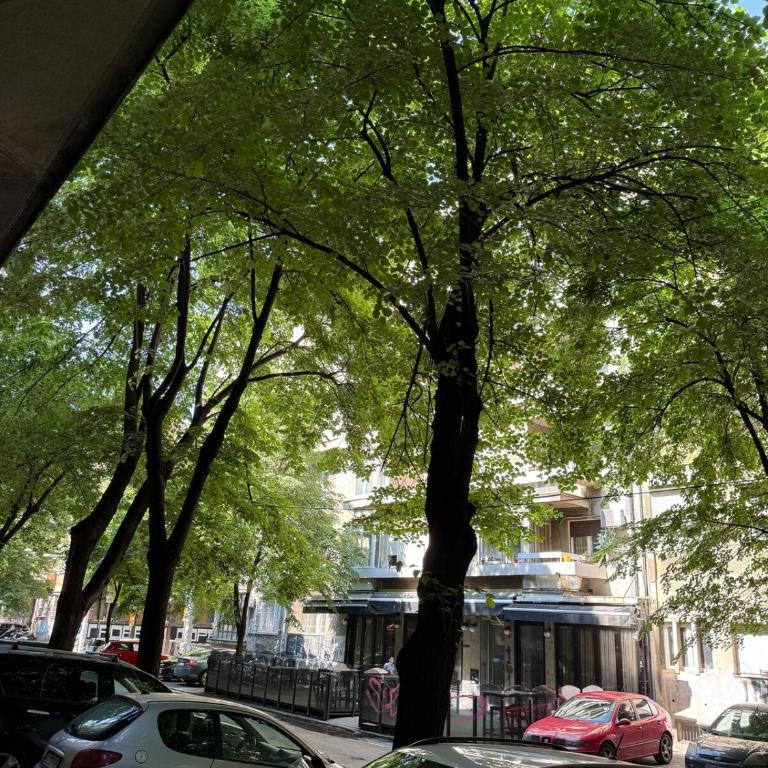 Central apartment - Apartman sa 1 Spavaćom Sobom - 7