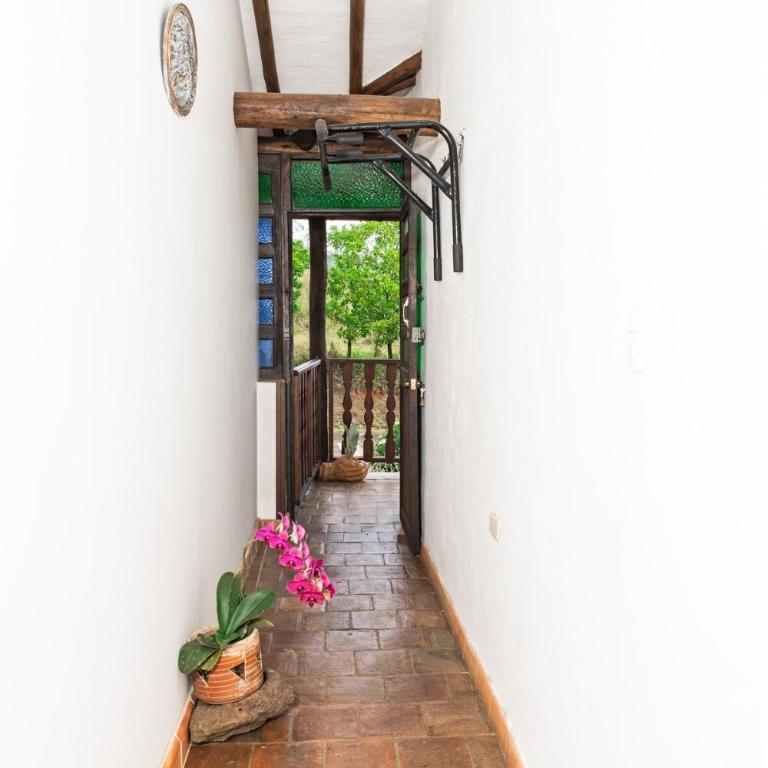 Cocoa House, Barichara - Apartamento de 1 dormitorio - 5