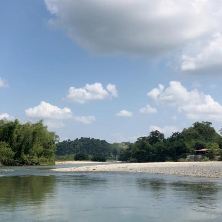 Amazing Cabin RIO LA MIEL - Two-Bedroom House - 17