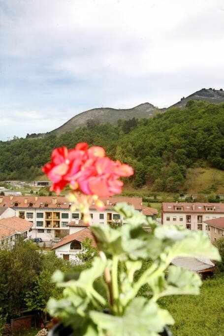 Casa Emeterio, habitaciones con baño en Cangas de Onís - Casa de 4 dormitorios - 51