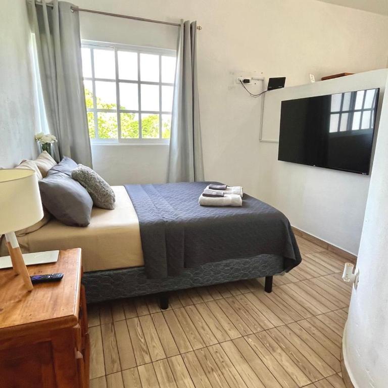 Coco apartamento centrico - Apartamento de 1 dormitorio - 1