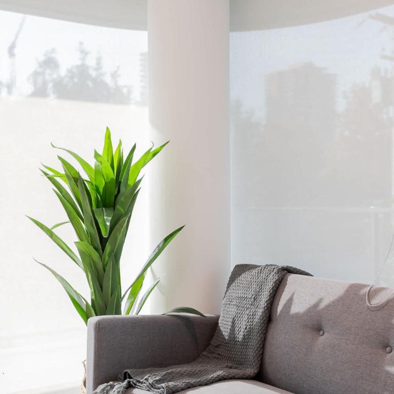 Charming Retreat 2D2B Apartment - Apartamento - 8