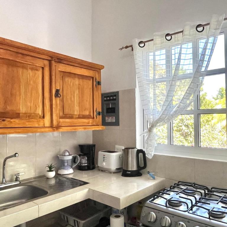 Coco apartamento centrico - Apartamento de 1 dormitorio - 7