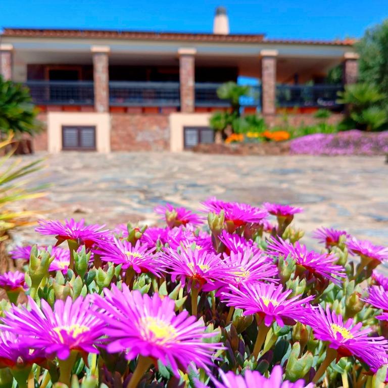 Alghero Villa Barranch with sea view swimming pool for 6 people - Villa con 3 Camere da Letto - 21