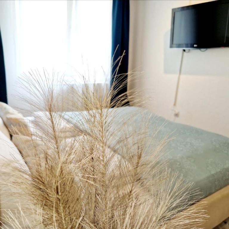 Apartment Pacifik Lux & Private Garage - Apartman sa 2 Spavaće Sobe - 10