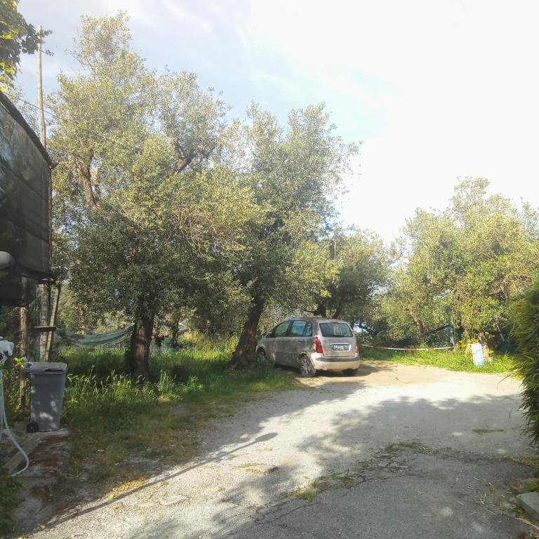 Casa Cacace - Casa con 4 camere da letto - 42