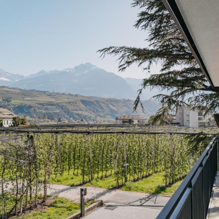 Apart Suites Gravbach - Appartamento con 1 Camera da Letto e Terrazza - 5