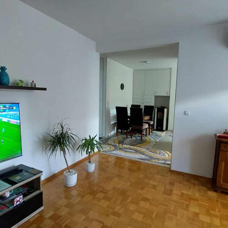 Apartman OMANOVIĆ - Apartment - 7