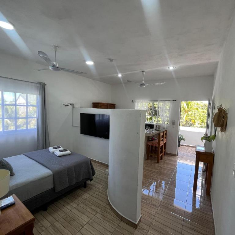 Coco apartamento centrico - Apartamento de 1 dormitorio - 11