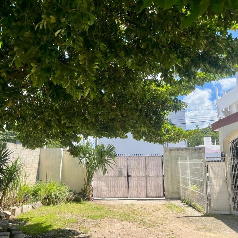 Coco apartamento centrico - Apartamento de 1 dormitorio - 16