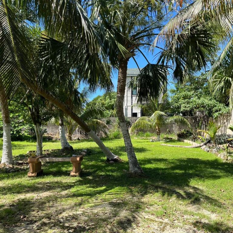Coco apartamento centrico - Apartamento de 1 dormitorio - 18