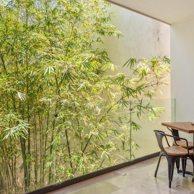 Newer Luxury 2BD Close to Ocean - Apartamento de 2 dormitorios - 2