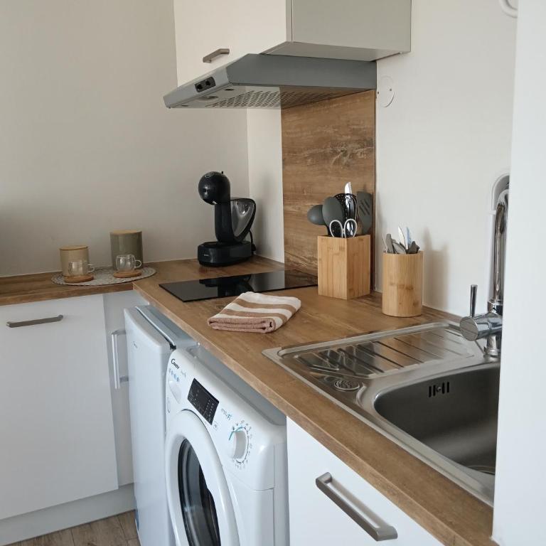 Studio tout confort avec place de parking et wifi - Apartment mit 1 Schlafzimmer - 7