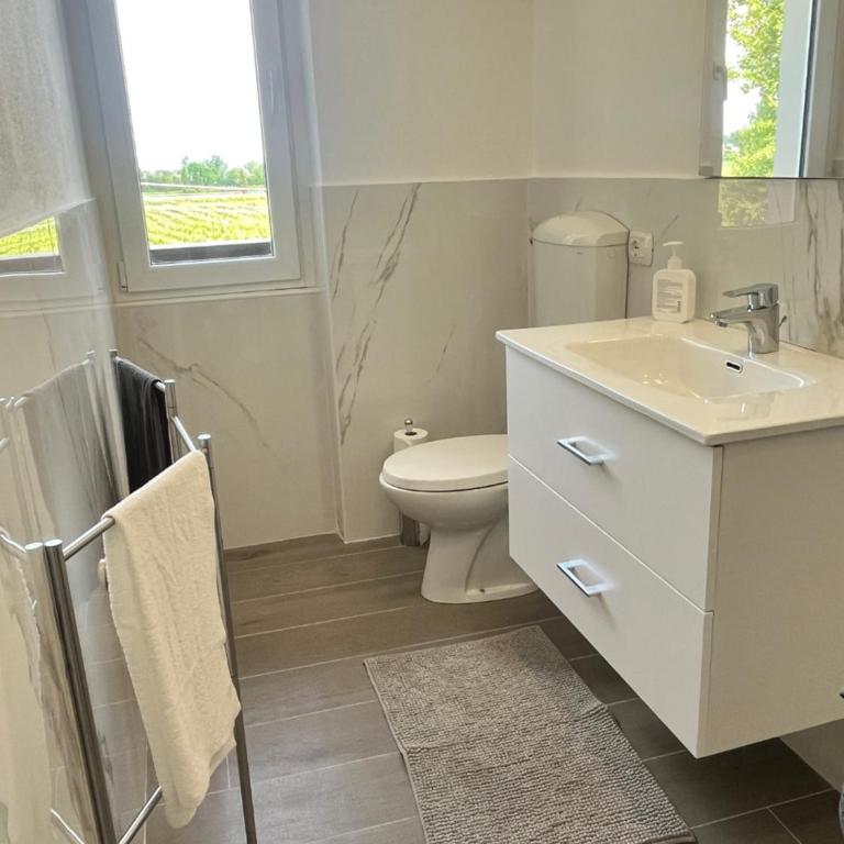 Angy House 25 - Appartamento con 1 Camera da Letto - 10