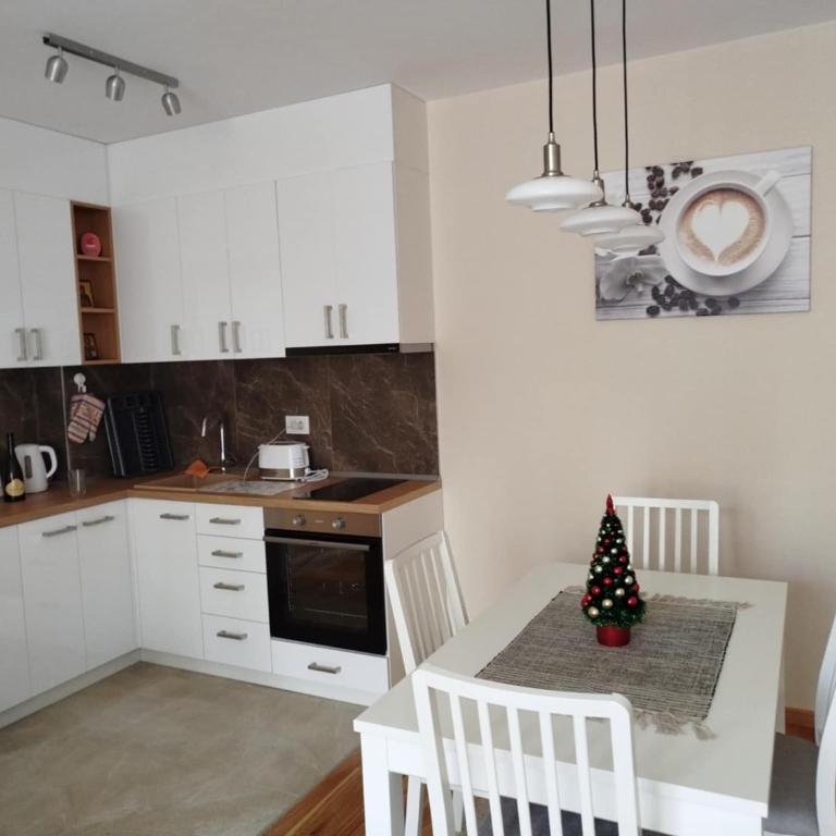 Apartman Đorđević Zlatibor Vila Elsa 4 - One-Bedroom Apartment - 4