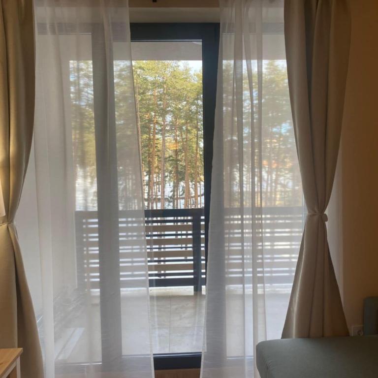 Apartman Đorđević Zlatibor Vila Elsa 4 - One-Bedroom Apartment - 5
