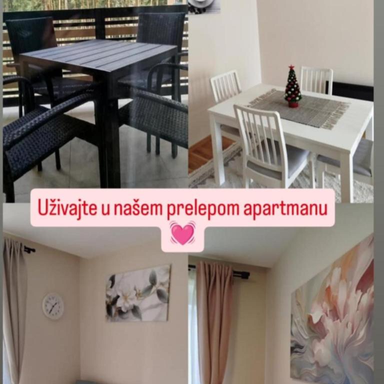 Apartman Đorđević Zlatibor Vila Elsa 4 - One-Bedroom Apartment - 6