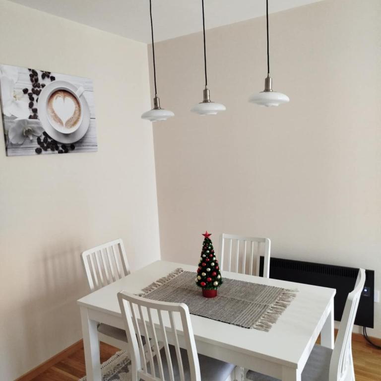 Apartman Đorđević Zlatibor Vila Elsa 4 - One-Bedroom Apartment - 13