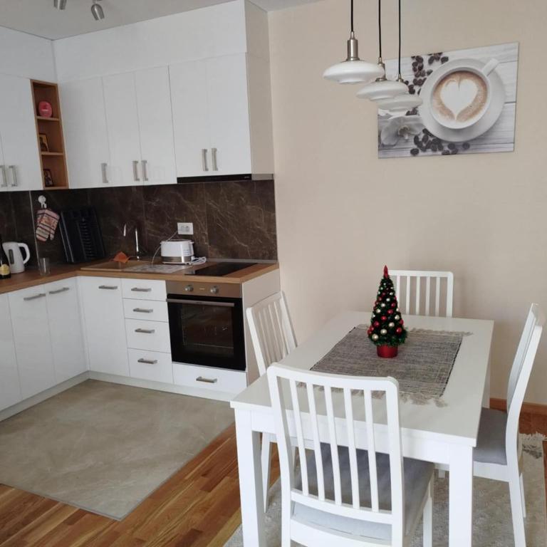 Apartman Đorđević Zlatibor Vila Elsa 4 - One-Bedroom Apartment - 20