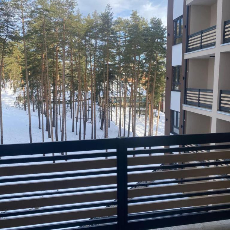 Apartman Đorđević Zlatibor Vila Elsa 4 - One-Bedroom Apartment - 29