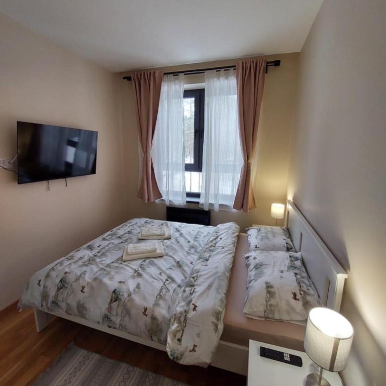 Apartman Đorđević Zlatibor Vila Elsa 4 - One-Bedroom Apartment - 35