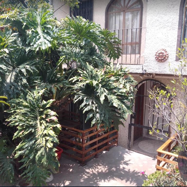 Casa en Xochimilco para 5 personas ideal para el Mundial 2026 - One-Bedroom House - 5