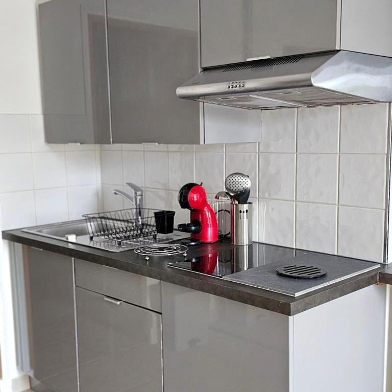 Studio meublé-Juan Pins-Logt3 - Appartement 1 Chambre - 5