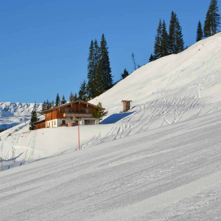 Wallegg Lodge - Alpine Premium Chalet - Ski In-Ski Out - Real Alpine Location Saalbach - Deluxe Chalet - 2