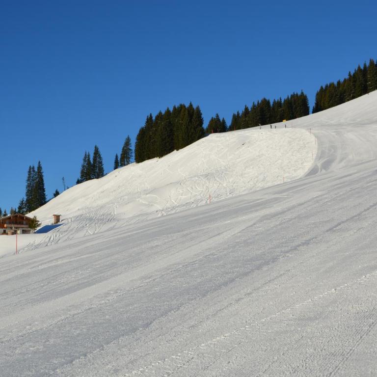Wallegg Lodge - Alpine Premium Chalet - Ski In-Ski Out - Real Alpine Location Saalbach - Deluxe Chalet - 58