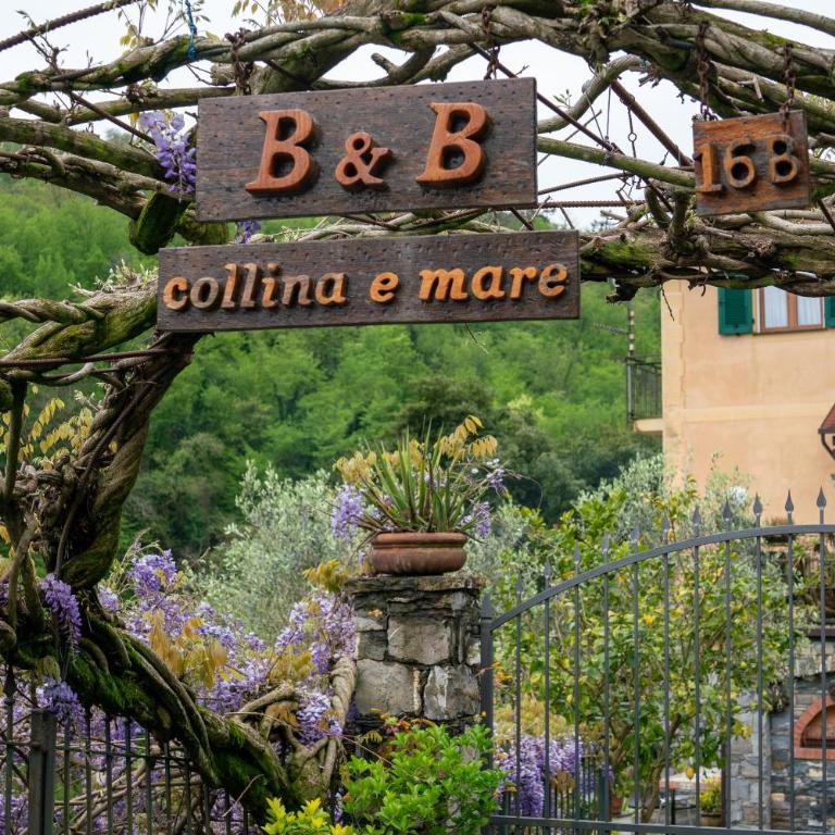 B&B collina e mare - Appartamento - 29