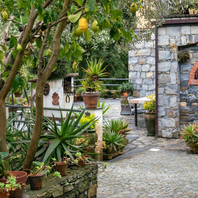 B&B collina e mare - Appartamento - 30