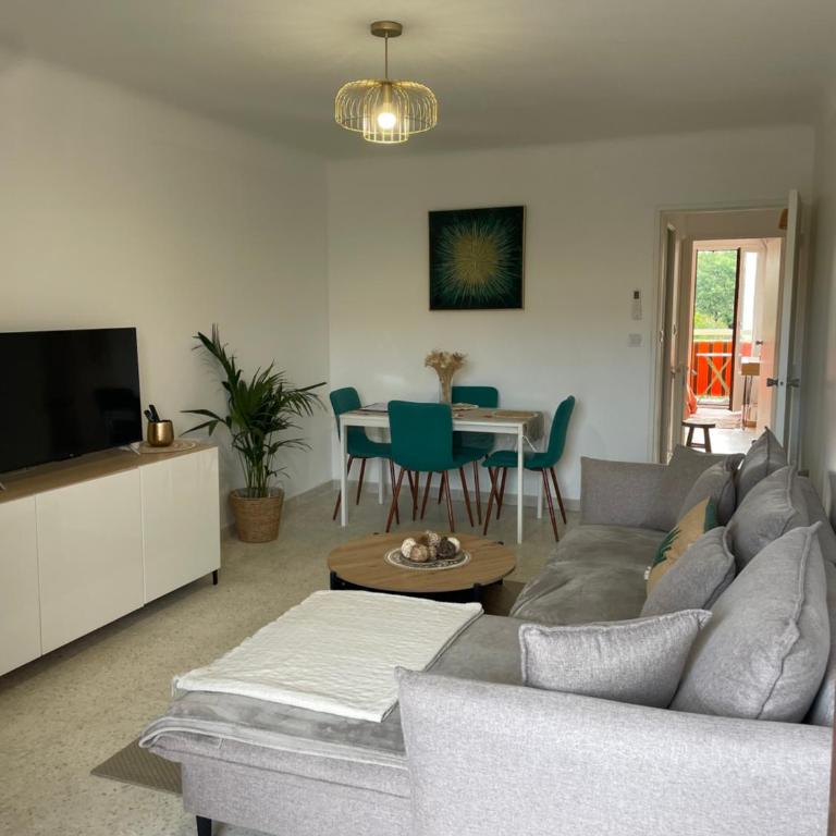 Appartement T2 le Saints Georges 48 m2 meublés équipés Clims 2 balcons ensoleillés parking gratuit et wifi - Appartement 1 Chambre - 2
