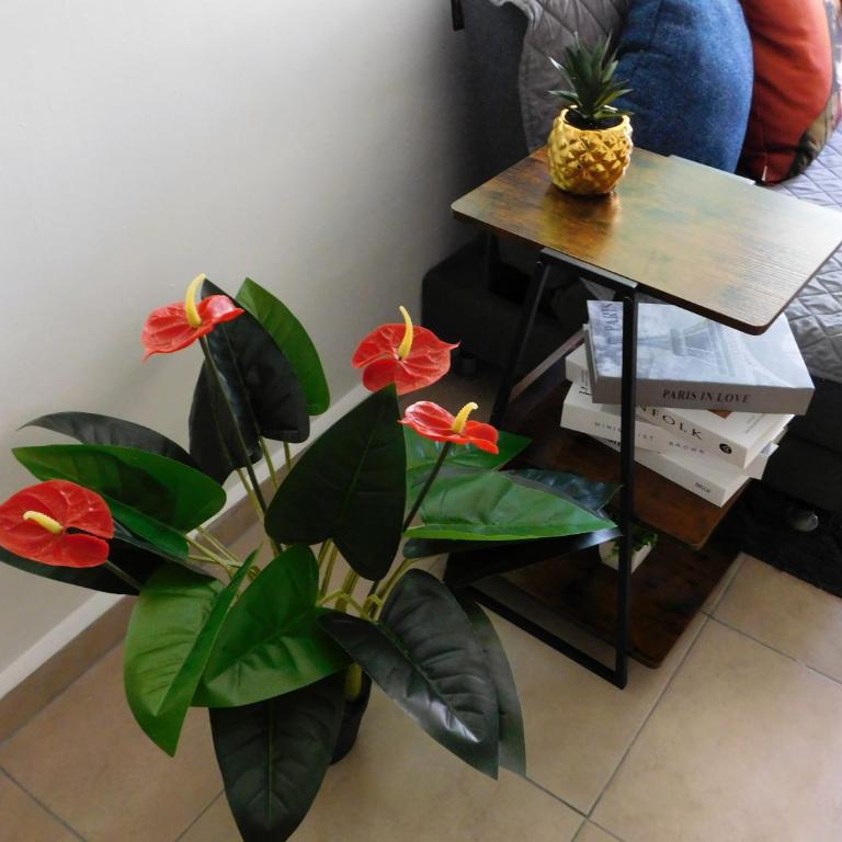 Depa privado Estadio GNP -Foro Sol-, Palacio de los Deportes - One-Bedroom Apartment - 39
